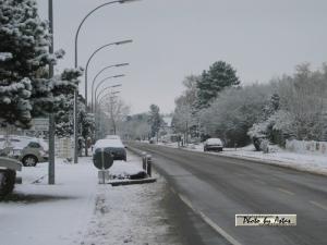 Klick für Originalgröße :capellen00002.jpg