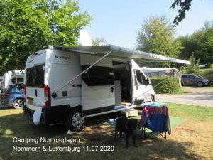 Klick f&uuml;r Originalgr&ouml;&szlig;e :0105sunlight.jpg