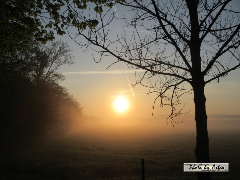 Schliessen von sonnenpracht0002.jpg