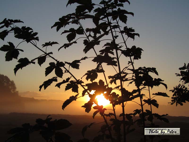 Schliessen von sonnenpracht0012.jpg