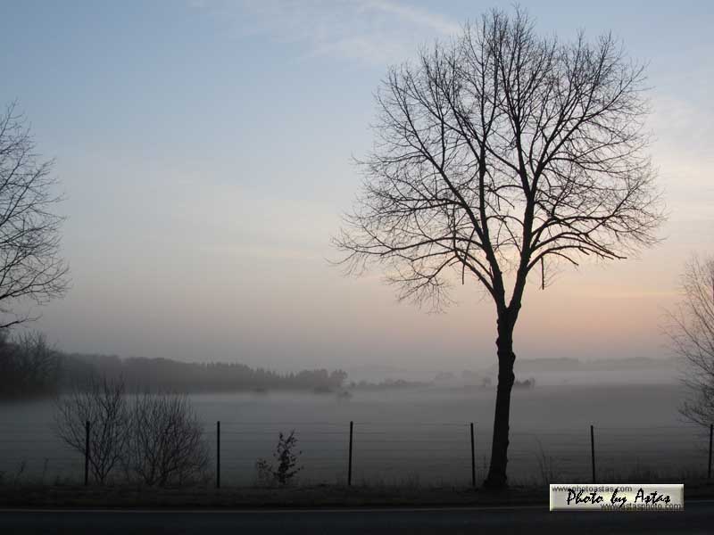 Schliessen von sonnenpracht0017.jpg