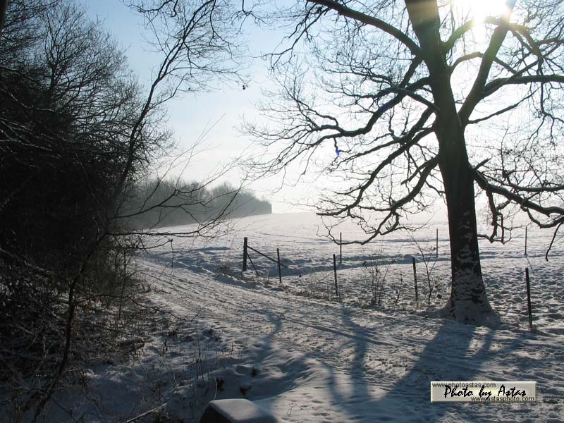 Schliessen von sonnenpracht0034.jpg