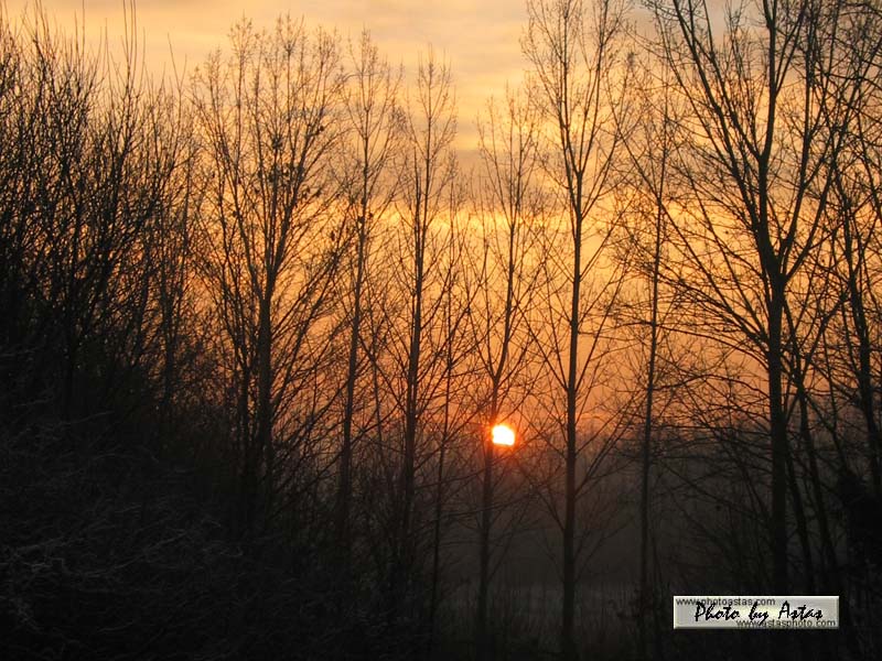 Schliessen von sonnenpracht0042.jpg