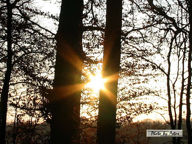 Schliessen von sonnenpracht0053.jpg