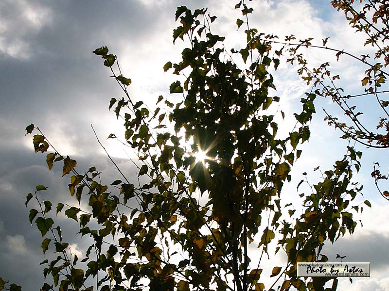 Schliessen von sonnenpracht0056.jpg