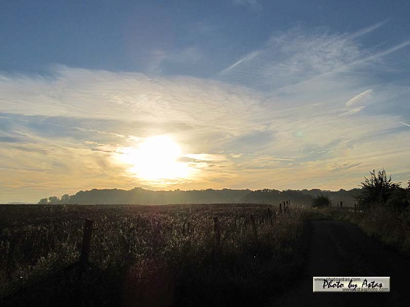 Schliessen von sonnenpracht0063.jpg