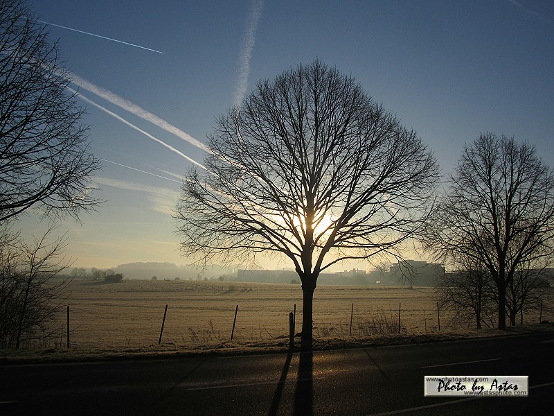 Schliessen von sonnenpracht0065.jpg