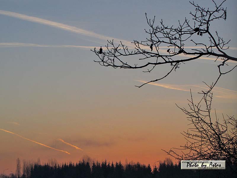 Schliessen von sonnenpracht0080.jpg