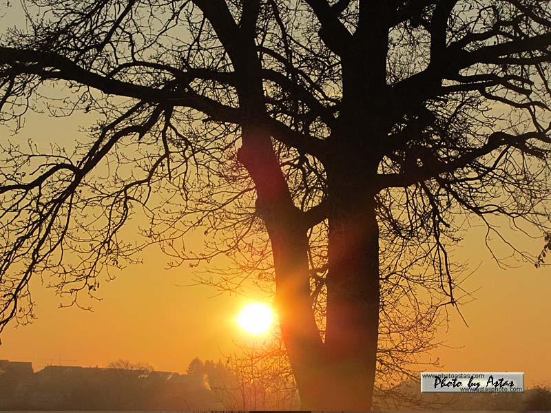 Schliessen von sonnenpracht0089.jpg