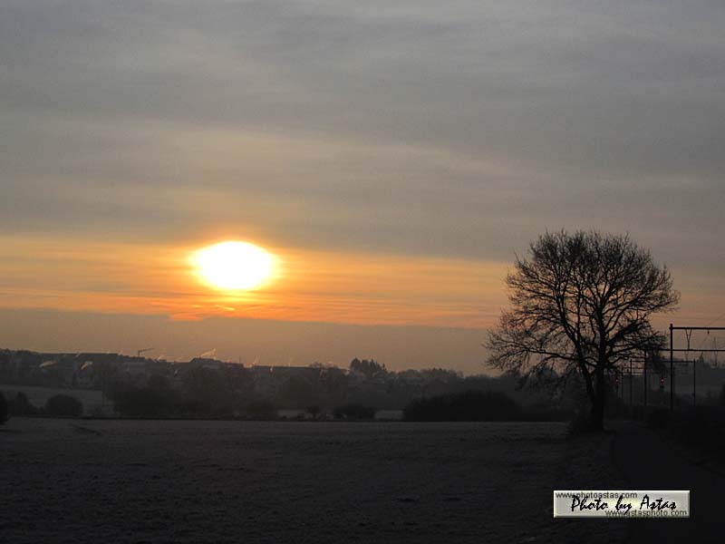 Schliessen von sonnenpracht0099.jpg