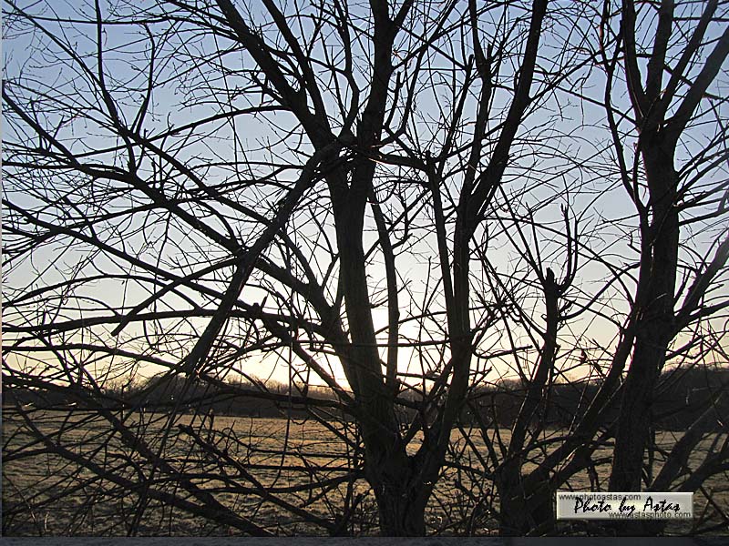 Schliessen von sonnenpracht0101.jpg