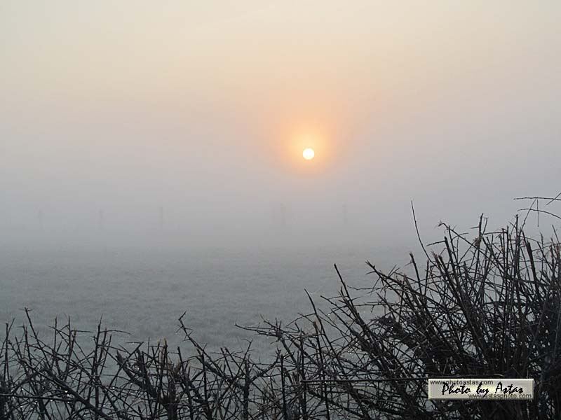 Schliessen von sonnenpracht0106.jpg