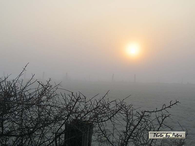 Schliessen von sonnenpracht0108.jpg