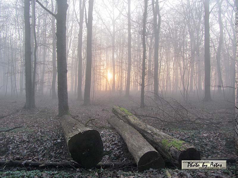 Schliessen von sonnenpracht0113.jpg