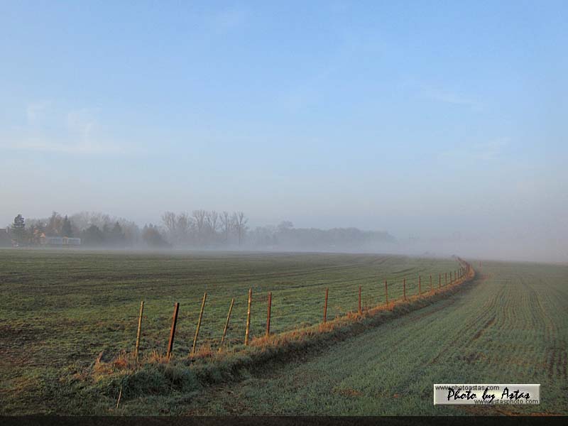Schliessen von sonnenpracht0115.jpg