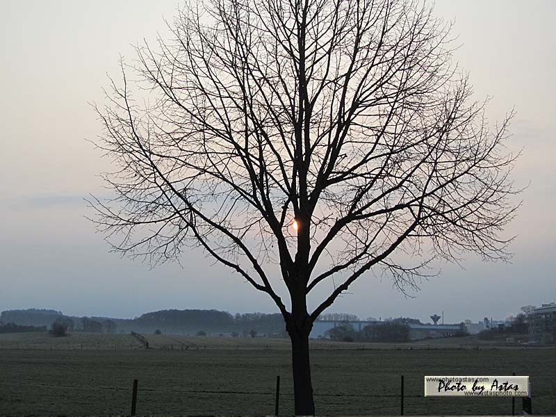 Schliessen von sonnenpracht0121.jpg