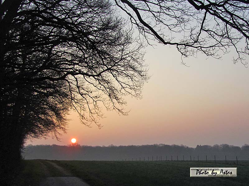 Schliessen von sonnenpracht0126.jpg