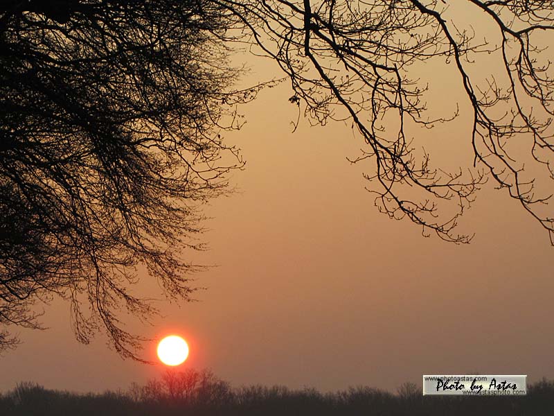 Schliessen von sonnenpracht0127.jpg