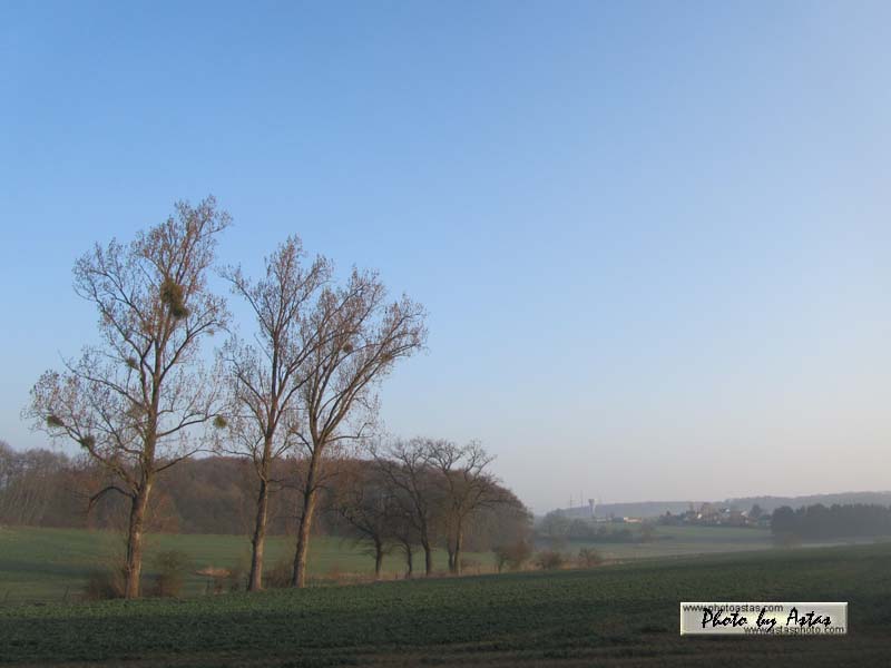 Schliessen von sonnenpracht0132.jpg
