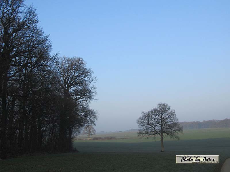 Schliessen von sonnenpracht0135.jpg