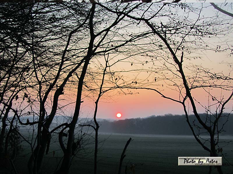 Schliessen von sonnenpracht0138.jpg