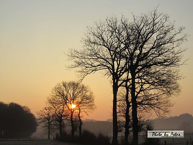 Schliessen von sonnenpracht0146.jpg