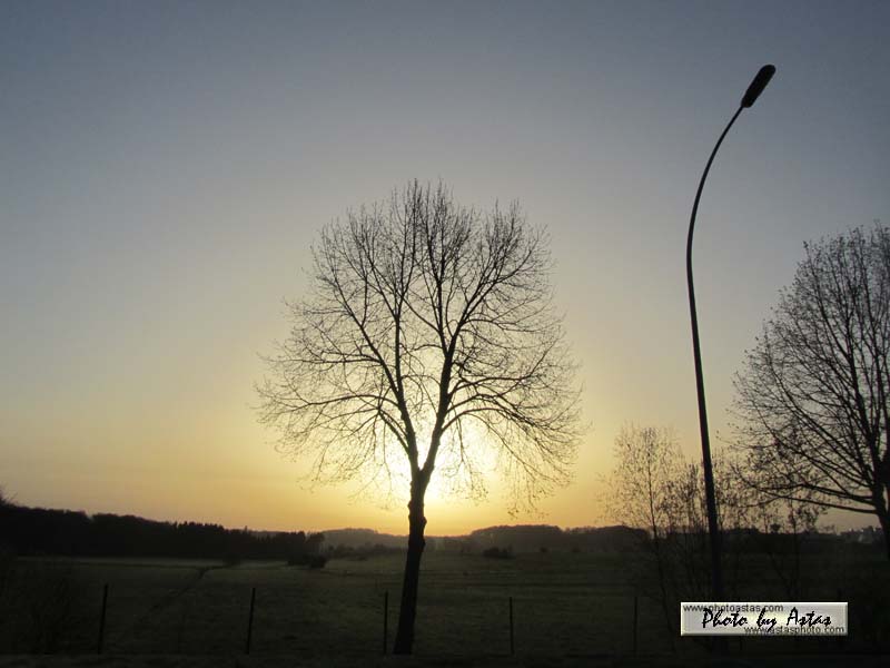 Schliessen von sonnenpracht0152.jpg