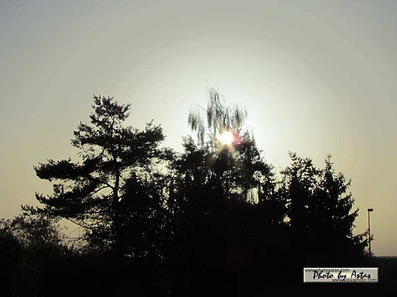 Schliessen von sonnenpracht0154.jpg