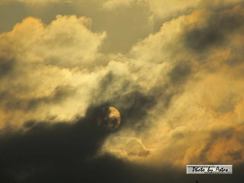 Schliessen von sonnenpracht0160.jpg