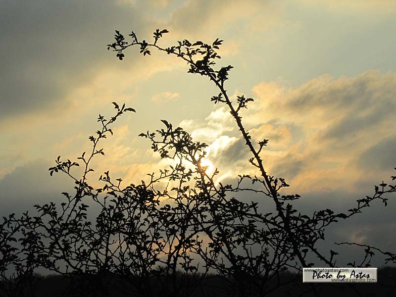 Schliessen von sonnenpracht0162.jpg