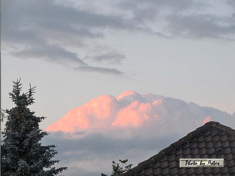 Schliessen von sonnenpracht0167.jpg