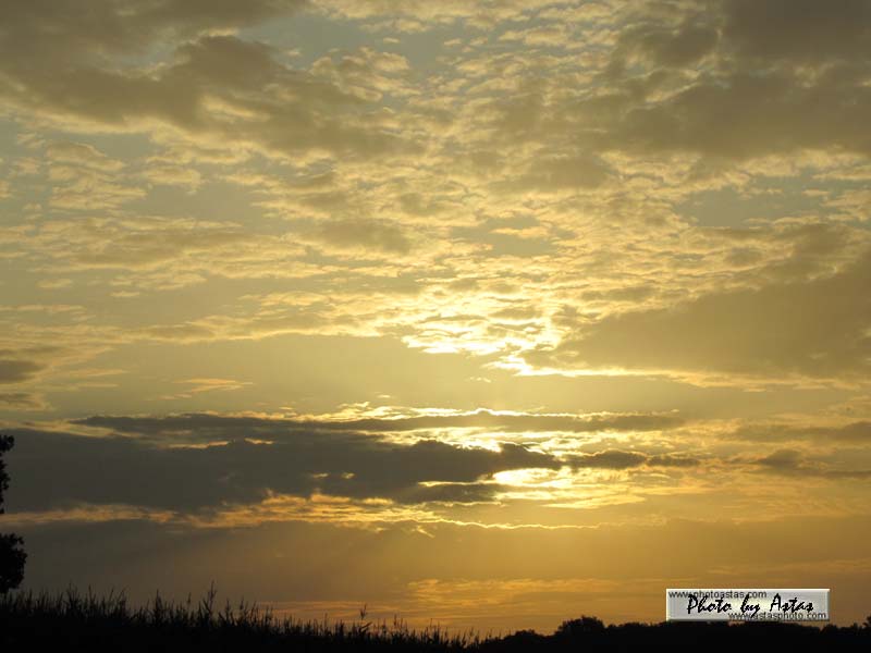 Schliessen von sonnenpracht0186.jpg