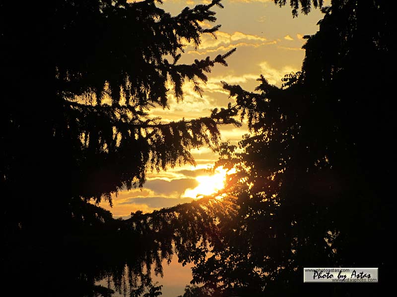 Schliessen von sonnenpracht0187.jpg