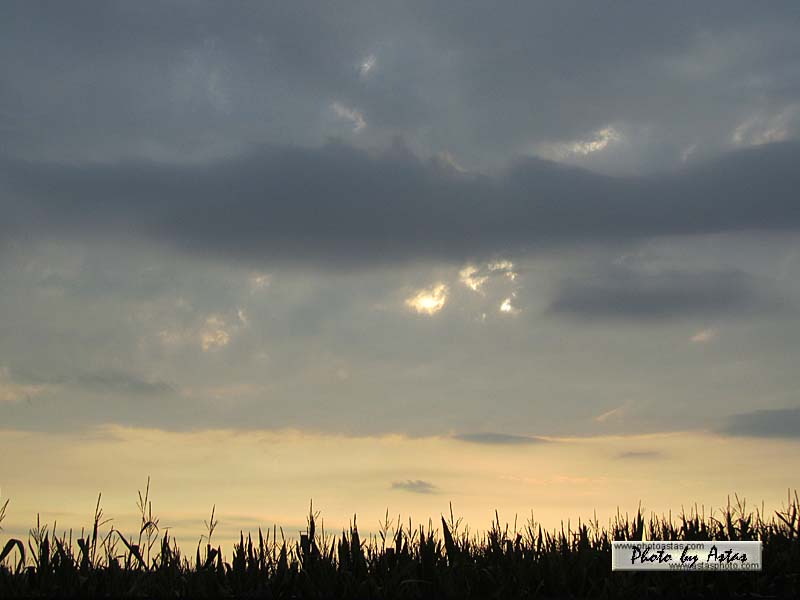 Schliessen von sonnenpracht0193.jpg