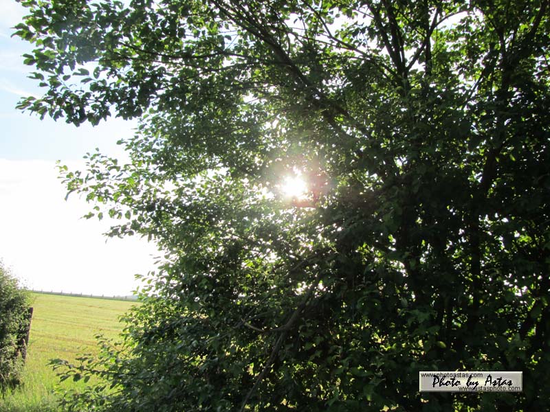 Schliessen von sonnenpracht0200.jpg