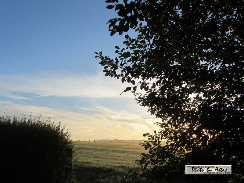 Schliessen von sonnenpracht0201.jpg