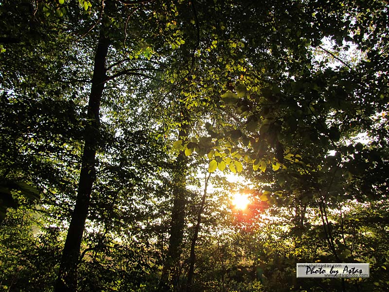 Schliessen von sonnenpracht0204.jpg