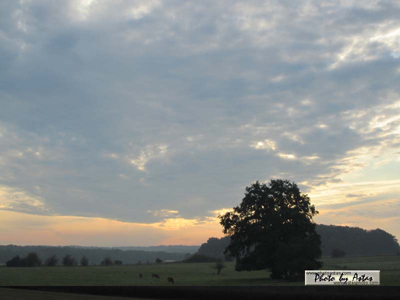 Schliessen von sonnenpracht0207.jpg