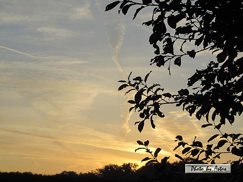 Schliessen von sonnenpracht0215.jpg