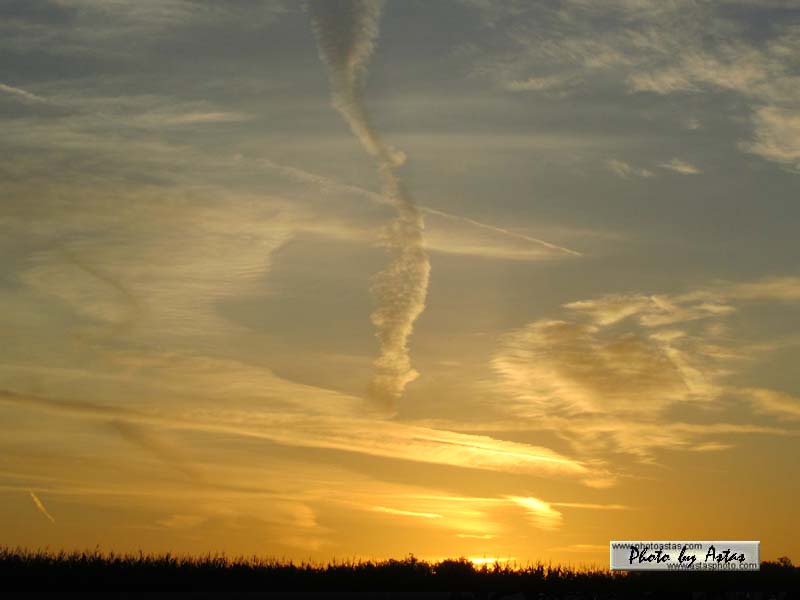 Schliessen von sonnenpracht0216.jpg