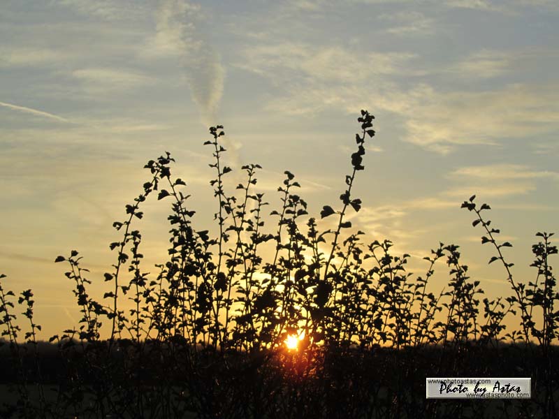 Schliessen von sonnenpracht0220.jpg