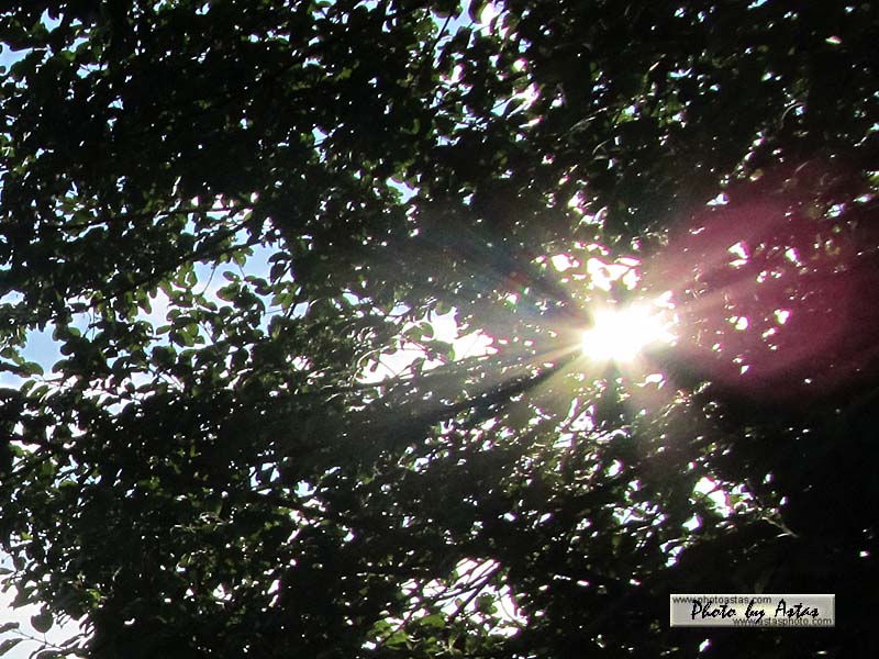Schliessen von sonnenpracht0250.jpg