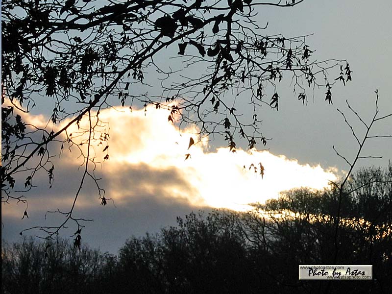 Schliessen von sonnenpracht0259.jpg