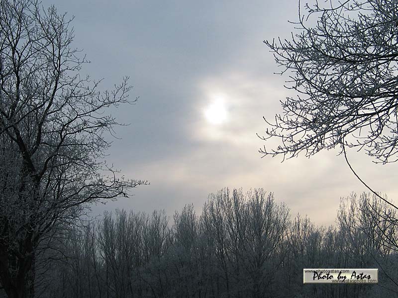 Schliessen von sonnenpracht0261.jpg