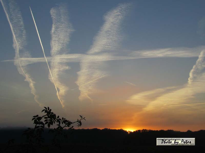 Schliessen von sonnenpracht0319.jpg