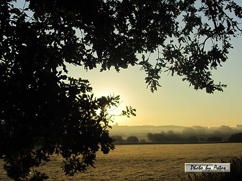 Schliessen von sonnenpracht0337.jpg