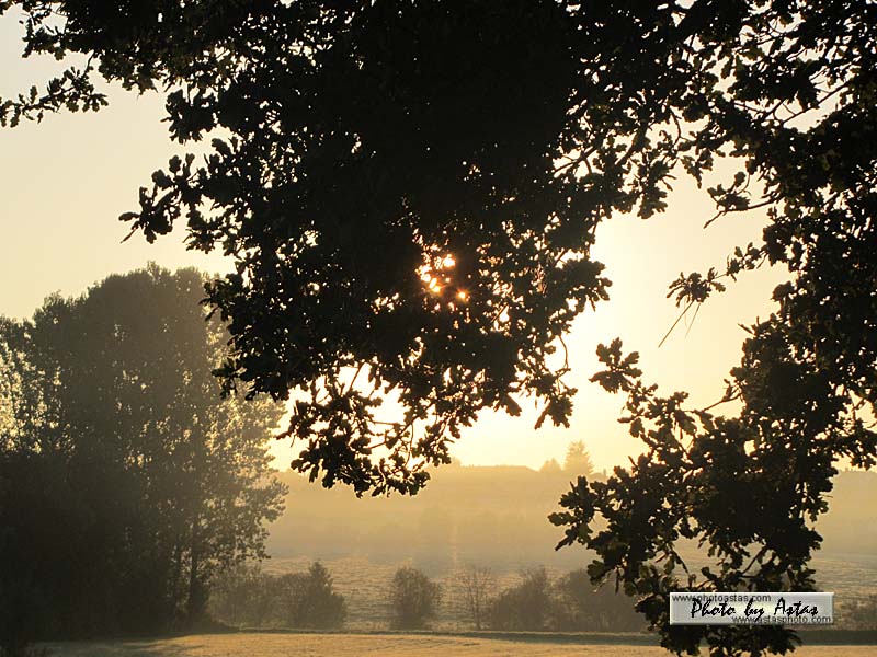 Schliessen von sonnenpracht0338.jpg