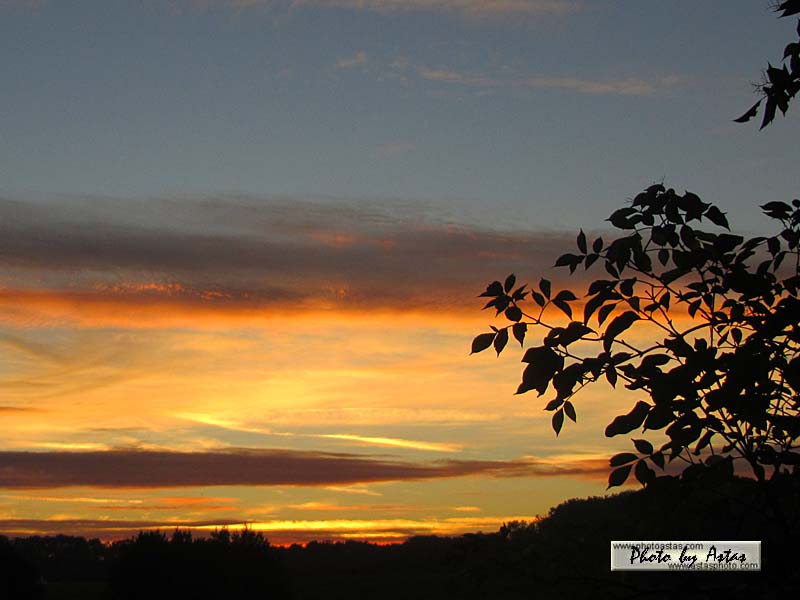 Schliessen von sonnenpracht0373.jpg