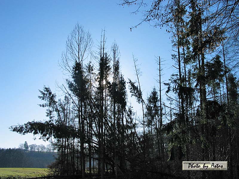 Schliessen von sonnenpracht0403.jpg