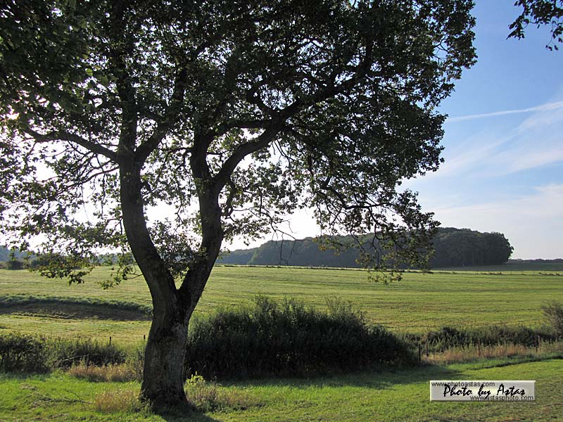 Schliessen von sonnenpracht0408.jpg